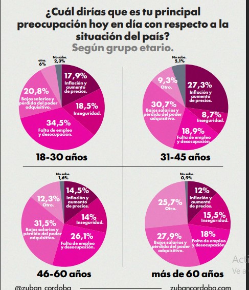 Encuesta: bajos salarios y la pérdida del poder adquisitivo, principal preocupación de los argentinos 9 Encuesta: bajos salarios y la pérdida del poder adquisitivo, principal preocupación de los argentinos imagen-8