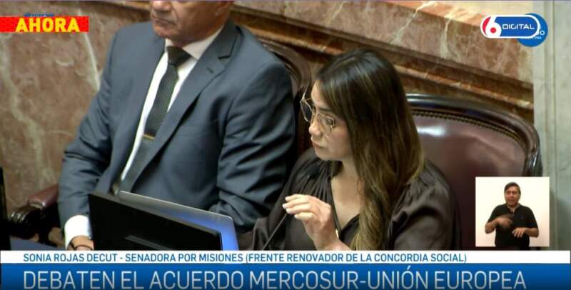 Acuerdo Mercosur–Unión Europea: Sonia Rojas Decut defendió el tratado y expuso las oportunidades para Misiones en exportaciones y economía del conocimiento Acuerdo Mercosur–Unión Europea: Sonia Rojas Decut defendió el tratado y expuso las oportunidades para Misiones en exportaciones y economía del conocimiento imagen-6