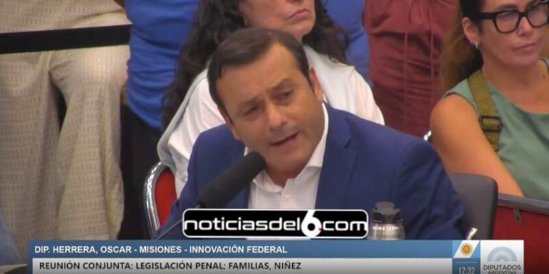 Régimen penal juvenil: Herrera Ahuad solicitó incluir un capítulo de asignación de recursos para las provincias imagen-7