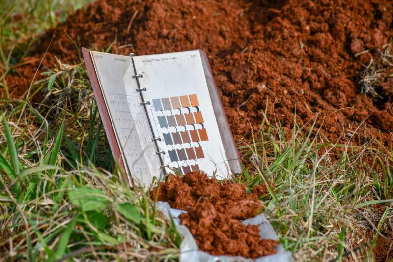 Misiones suma una herramienta clave para planificar su producción: presentaron la cartografía semidetallada de suelos de Guaraní imagen-2