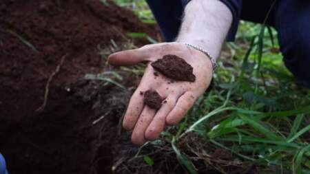 Misiones suma una herramienta clave para planificar su producción: presentaron la cartografía semidetallada de suelos de Guaraní imagen-9