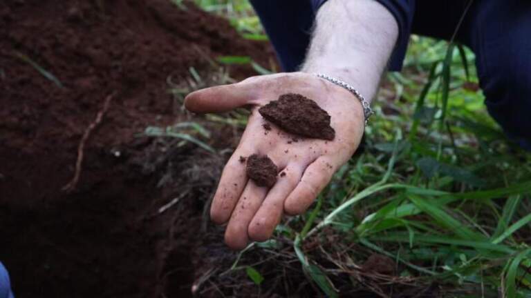 Misiones suma una herramienta clave para planificar su producción: presentaron la cartografía semidetallada de suelos de Guaraní imagen-30