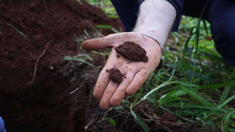 Misiones suma una herramienta clave para planificar su producción: presentaron la cartografía semidetallada de suelos de Guaraní imagen-27