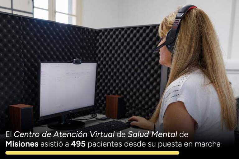 El Centro de Atención Virtual de Salud Mental de Misiones asistió a 495 pacientes desde su puesta en marcha imagen-34