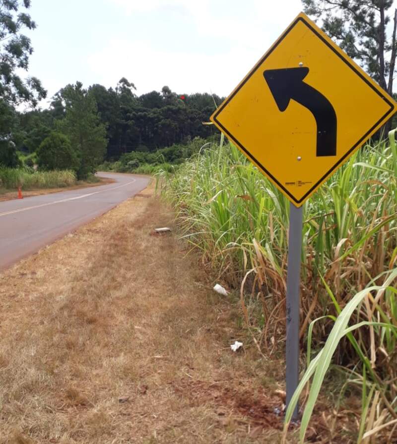 Vialidad Provincial ejecuta trabajos de señalización vertical en la Ruta Provincial N° 223 para reforzar la seguridad vial entre Capioví y la RP 7 imagen-8
