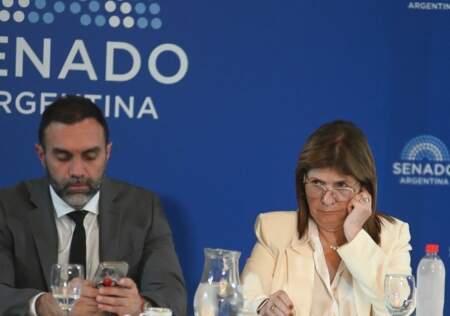 El Congreso abre las sesiones extraordinarias con foco en las reformas laboral y penal juvenil imagen-5