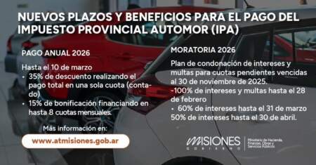 Prórroga del IPA y programas "Ahora": "Ante un escenario de incertidumbre y retracción económica, la prioridad es potenciar el esfuerzo de cada familia misionera", dijo Safrán imagen-11