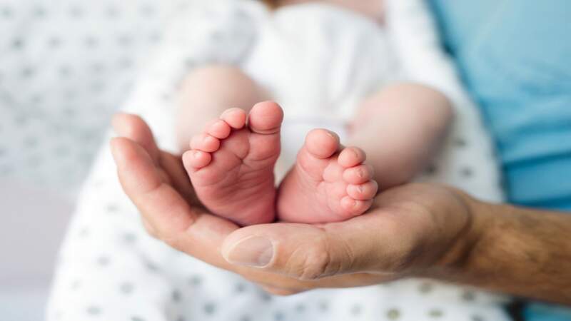 Baja de natalidad y desafío económico: la ventana demográfica que la Argentina puede capitalizar hasta 2040 imagen-6