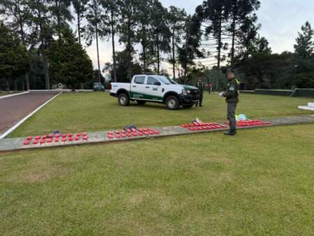 Patrulla de gendarmes halló 33 kilos de marihuana escondidos entre la espesura del monte Patrulla de gendarmes halló 33 kilos de marihuana escondidos entre la espesura del monte imagen-4