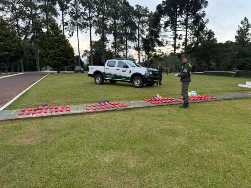 Patrulla de gendarmes halló 33 kilos de marihuana escondidos entre la espesura del monte Patrulla de gendarmes halló 33 kilos de marihuana escondidos entre la espesura del monte imagen-1