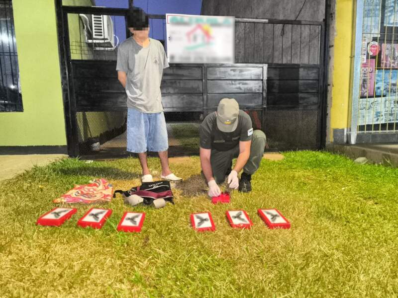 Un operativo en Posadas, Garupá y San José permitió incautar 29 kilos de cocaína, armas y más de 56 millones de pesos imagen-7