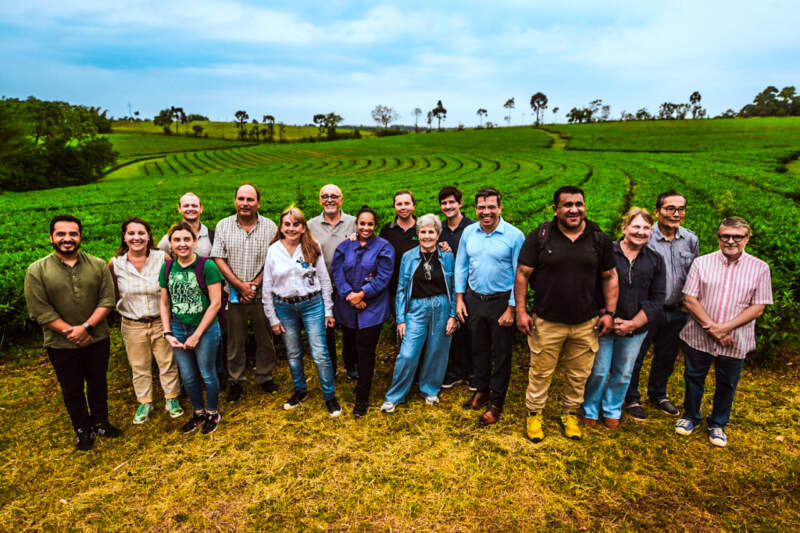 Misiones fortalece el té gourmet con una estrategia que integra producción, calidad y agroturismo imagen-4
