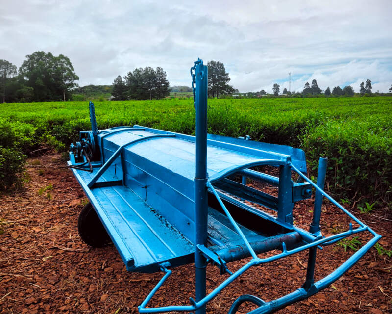 En el corazón tealero de Misiones abrió sus puertas el primer museo rural del té imagen-6