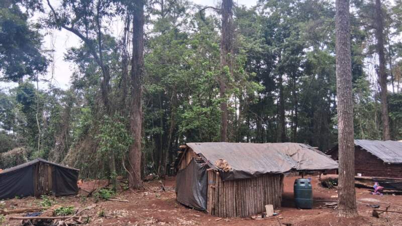 Comunidad Oka Porã denuncia hostigamiento de multinacional y pide intervención de Asuntos Guaraníes Comunidad Oka Porã denuncia hostigamiento de multinacional y pide intervención de Asuntos Guaraníes imagen-1