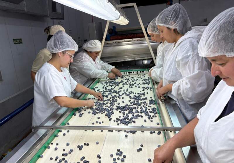 El Renatre hizo un balance de las capacitaciones durante 2025 imagen-2