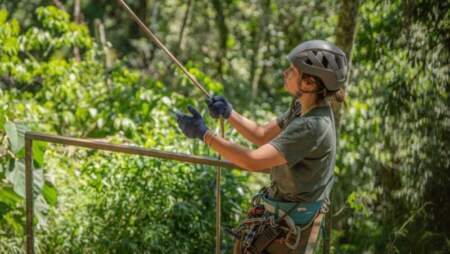 Se optimiza procedimiento para que prestadores de Rastro Activo operen en áreas naturales protegidas imagen-5
