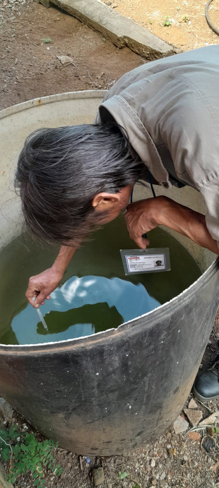 Implementan sensores de oviposición y operativos de eliminación de criaderos para reforzar el control del Aedes aegypti imagen-2