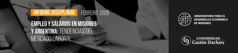 Empleo y salarios en Misiones: qué revela el nuevo informe del ODEM sobre el mercado laboral imagen-2