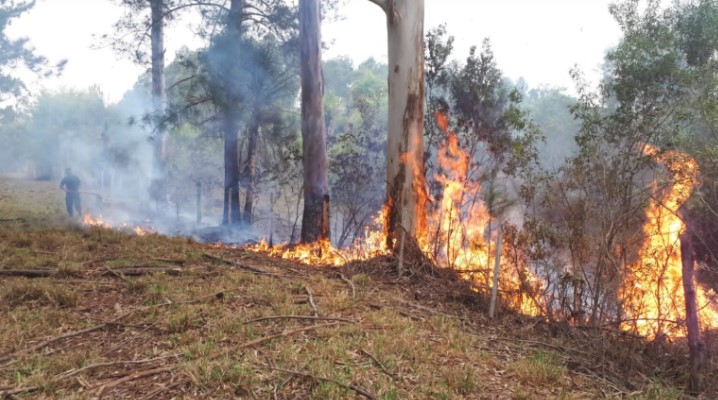 Charla en la Biofábrica sobre prevención y respuesta rápida ante incendios forestales y rurales en la provincia imagen-9