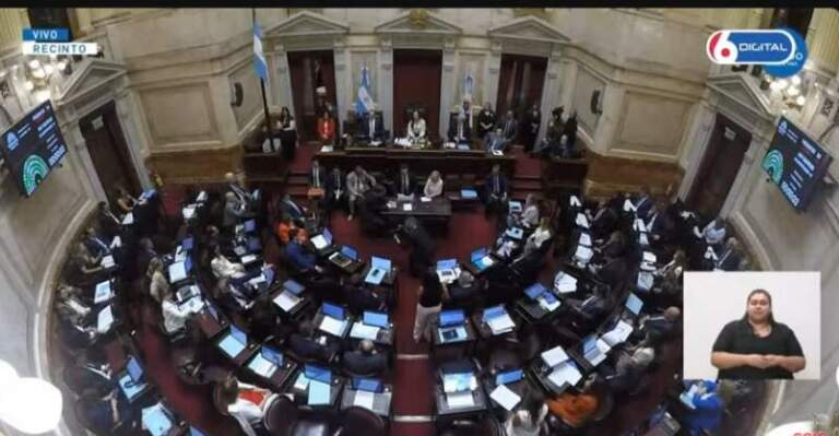 Senado: el oficialismo consiguió quórum y se debate la reforma laboral imagen-12