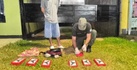 Investigan y desbaratan una organización narcocriminal, 13 allanamientos se realizaron en Misiones imagen-11