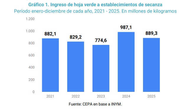 Desregulación y precios: la tormenta que golpea a los productores yerbateros imagen-2