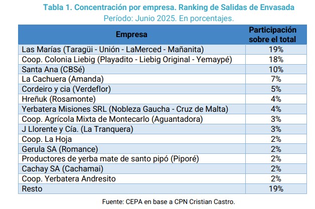 Desregulación y precios: la tormenta que golpea a los productores yerbateros imagen-6