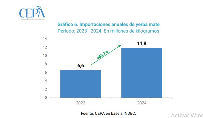 Desregulación y precios: la tormenta que golpea a los productores yerbateros imagen-10
