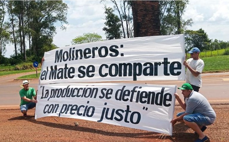 Desregulación y precios: la tormenta que golpea a los productores yerbateros imagen-12