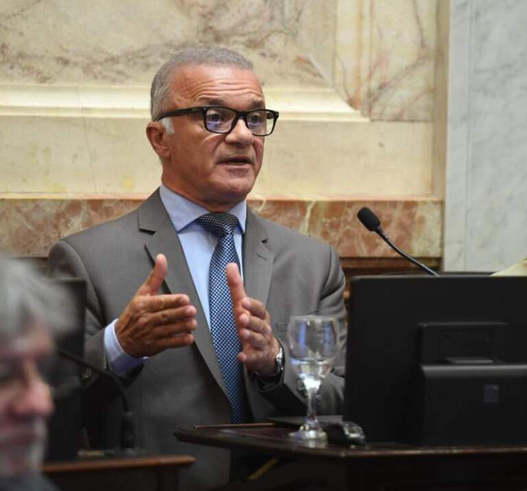 Arce respaldo la Reforma del régimen penal juvenil y destacó su carácter formativo imagen-50