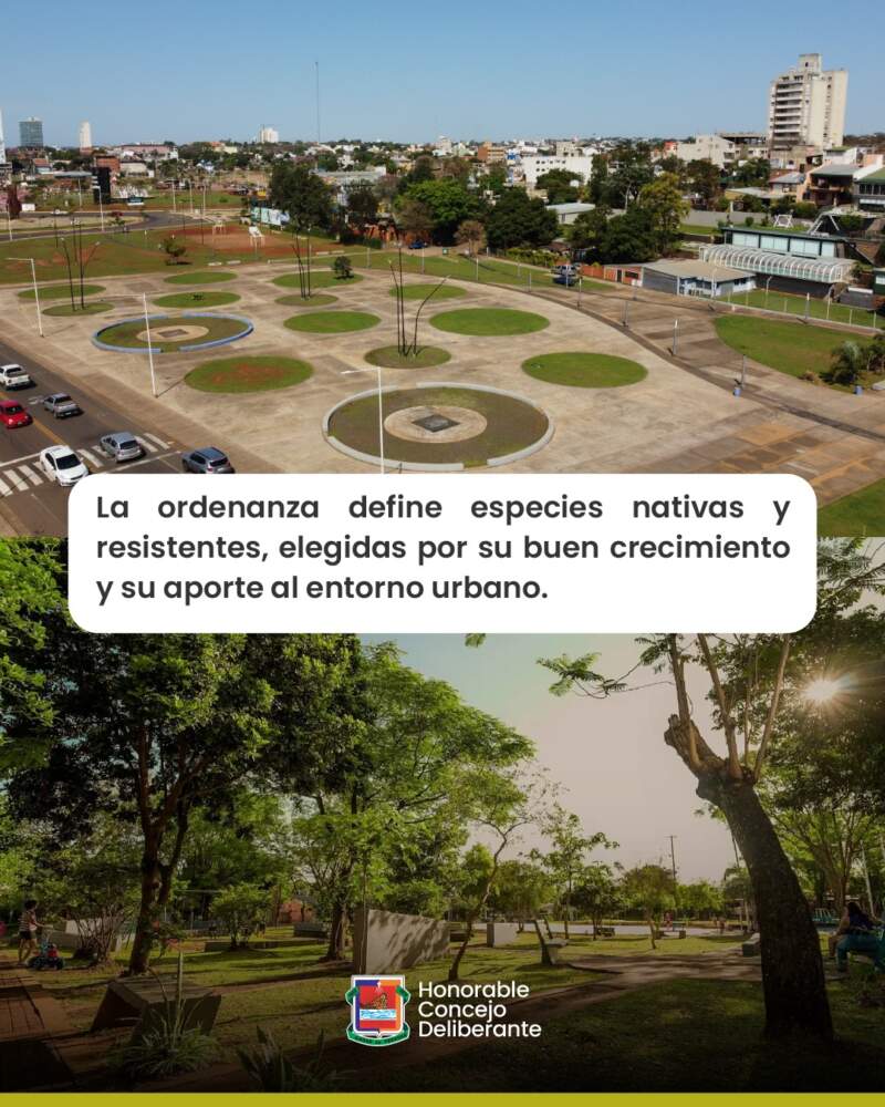 El Plan Forestal Urbano: ¿qué especies de árboles se pueden plantar? 3 El Plan Forestal Urbano: ¿qué especies de árboles se pueden plantar? imagen-2