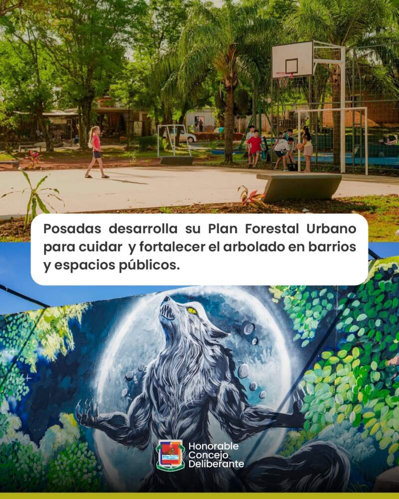 El Plan Forestal Urbano: ¿qué especies de árboles se pueden plantar? 11 El Plan Forestal Urbano: ¿qué especies de árboles se pueden plantar? imagen-10