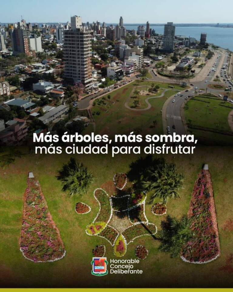 El Plan Forestal Urbano: ¿qué especies de árboles se pueden plantar? imagen-44