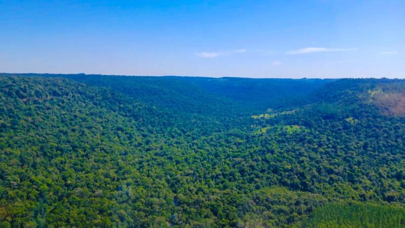 Ecología desplegó un operativo aéreo integral para el monitoreo ambiental, el control forestal y la prevención de incendios imagen-15