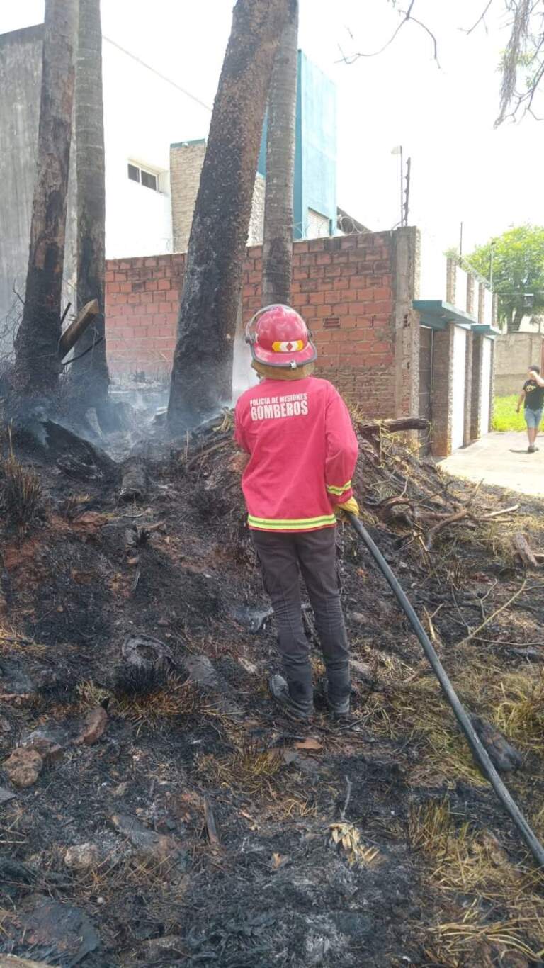 Controlaron un incendio de malezas en Posadas imagen-34