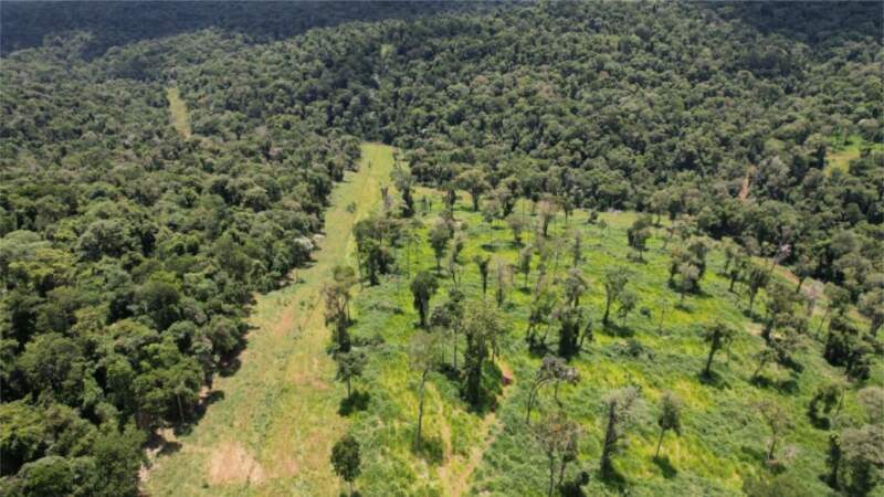 Control forestal en Zona Norte: verificaron la situación actual de puntos donde se detectaron infracciones ambientales 3 Control forestal en Zona Norte: verificaron la situación actual de puntos donde se detectaron infracciones ambientales imagen-2