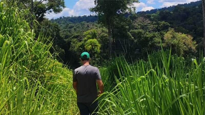 Control forestal en Zona Norte: verificaron la situación actual de puntos donde se detectaron infracciones ambientales 9 Control forestal en Zona Norte: verificaron la situación actual de puntos donde se detectaron infracciones ambientales imagen-8