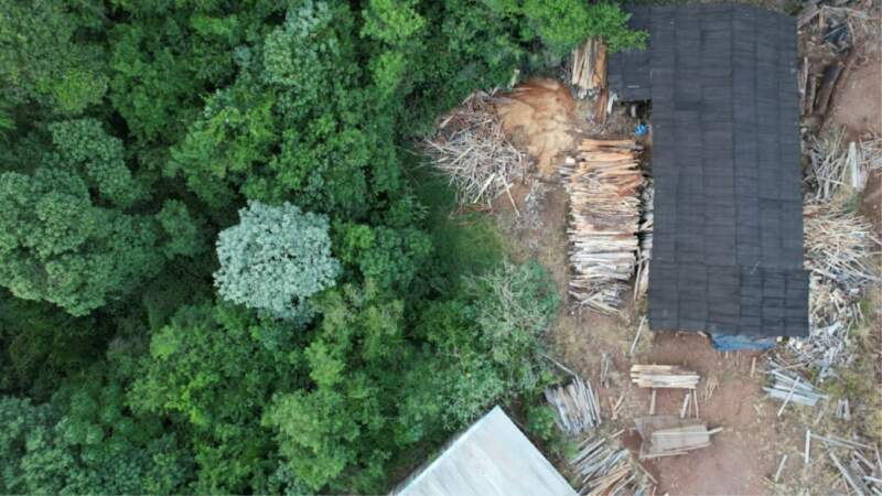 Control forestal en Zona Norte: verificaron la situación actual de puntos donde se detectaron infracciones ambientales imagen-8