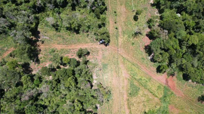 Control forestal en Zona Norte: verificaron la situación actual de puntos donde se detectaron infracciones ambientales 13 Control forestal en Zona Norte: verificaron la situación actual de puntos donde se detectaron infracciones ambientales imagen-12