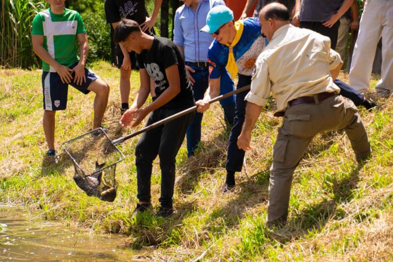 Observación de aves, plantación de árboles y siembra de alevines marcaron la jornada por los humedales en Campo Grande imagen-4