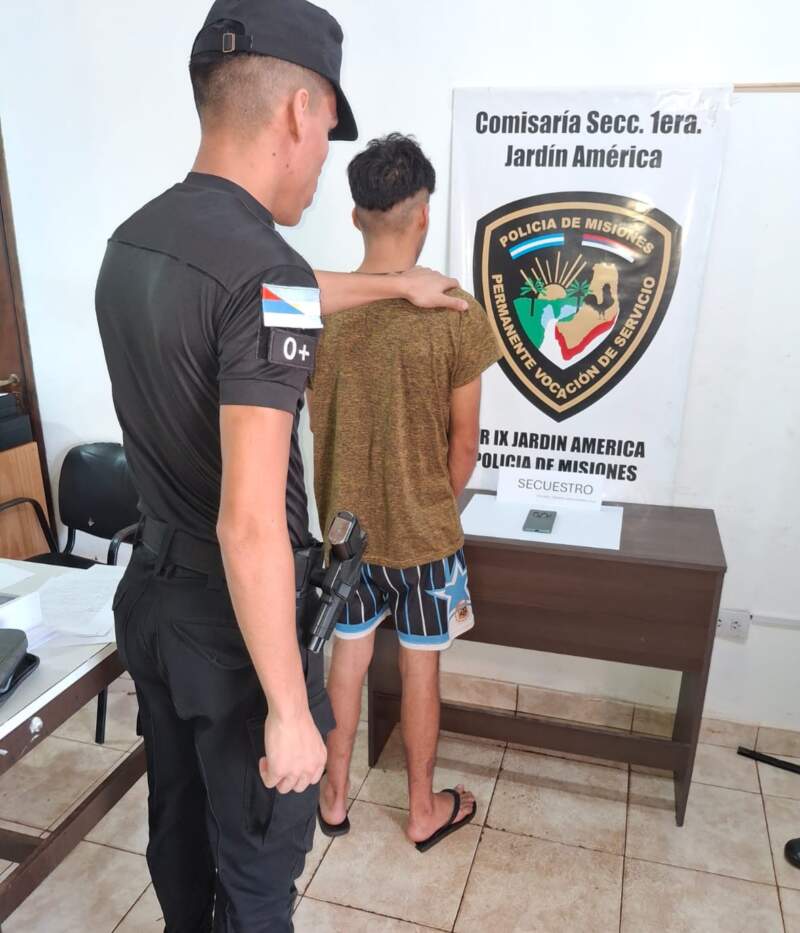 Seguidilla de operativos policiales dejó detenidos y elementos robados recuperados imagen-8