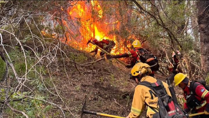 Brigadistas misioneros brindan apoyo en el combate de incendios en la Patagonia 9 Brigadistas misioneros brindan apoyo en el combate de incendios en la Patagonia imagen-8
