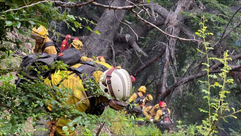 Brigadistas misioneros brindan apoyo en el combate de incendios en la Patagonia 5 Brigadistas misioneros brindan apoyo en el combate de incendios en la Patagonia imagen-4