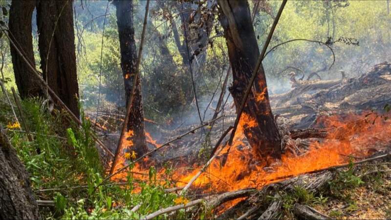Brigadistas misioneros brindan apoyo en el combate de incendios en la Patagonia 7 Brigadistas misioneros brindan apoyo en el combate de incendios en la Patagonia imagen-6