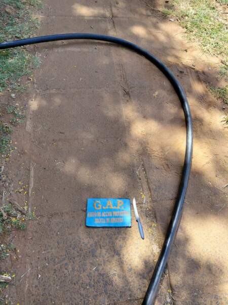 Cámaras del 911 detectaron a una pareja que robó cables del tendido eléctrico en Posadas: Terminaron detenidos imagen-4