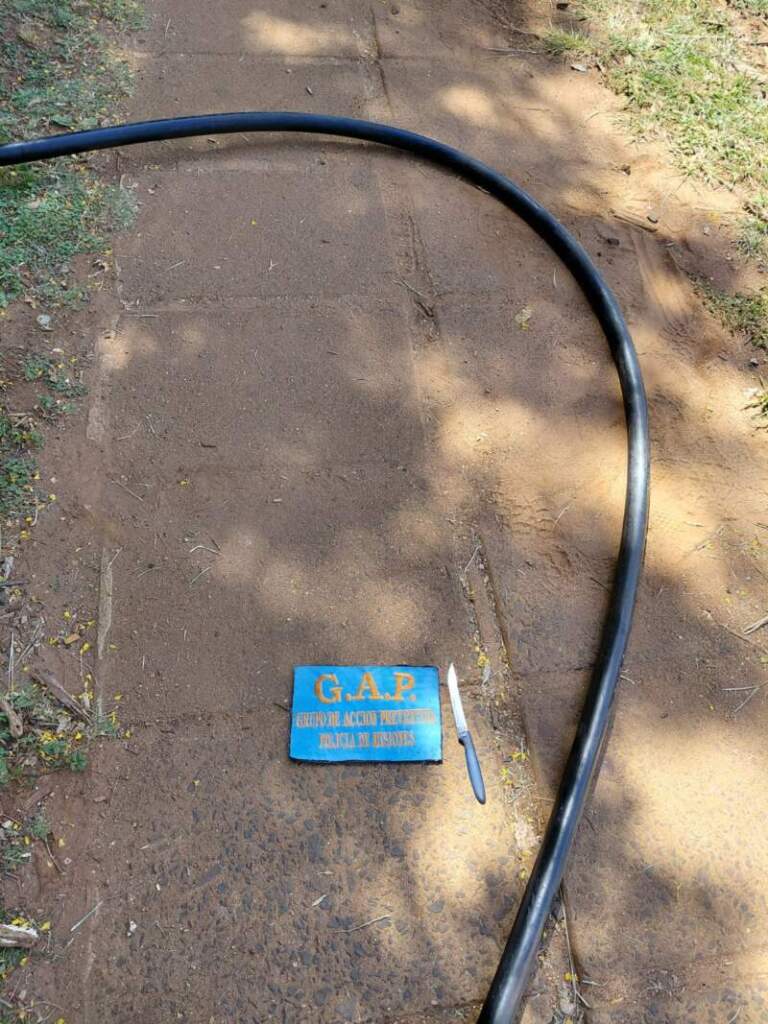 Cámaras del 911 detectaron a una pareja que robó cables del tendido eléctrico en Posadas: Terminaron detenidos imagen-35