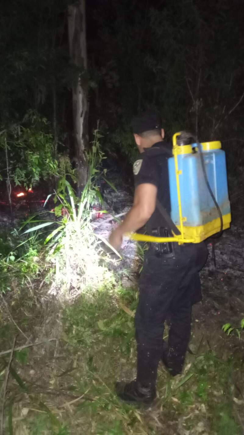 Controlaron un incendio forestal en una plantación de eucaliptos en Santo Pipó imagen-2