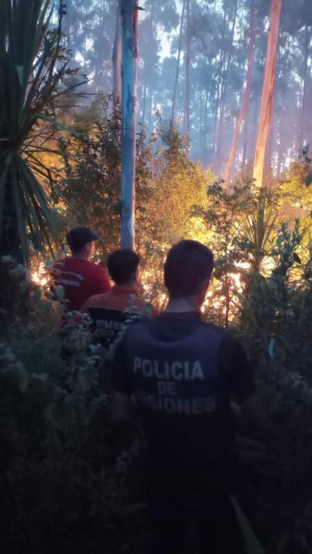Controlaron un incendio forestal en una plantación de eucaliptos en Santo Pipó imagen-11