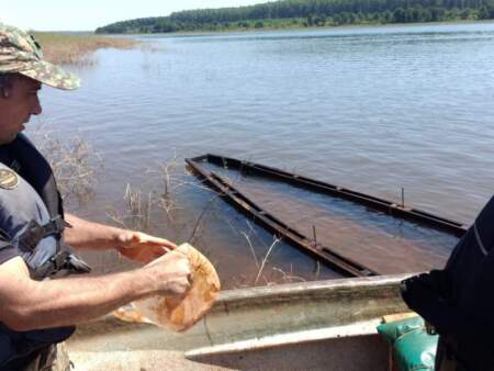 Detectan elementos de pesca furtiva en el Lago Urugua-í imagen-4