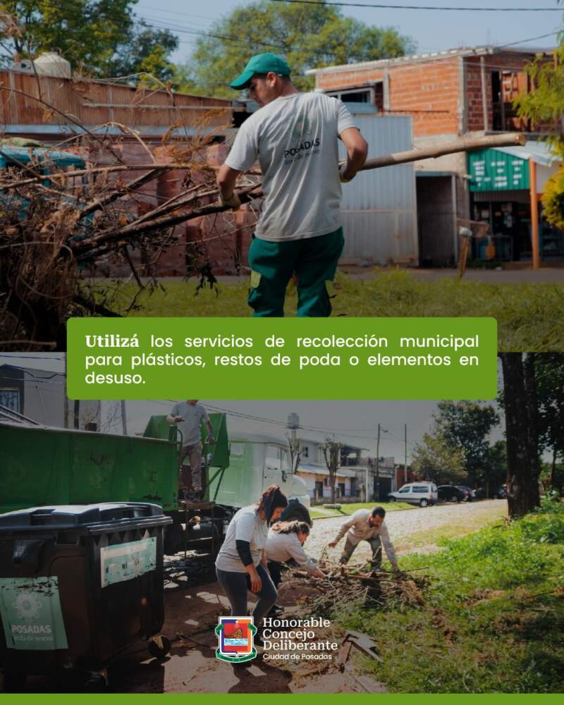 Realizar quemas tiene consecuencias ambientales y económicas, advierten desde el HCD imagen-4